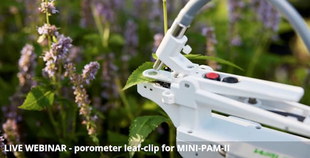 mini-pam-ii porometer